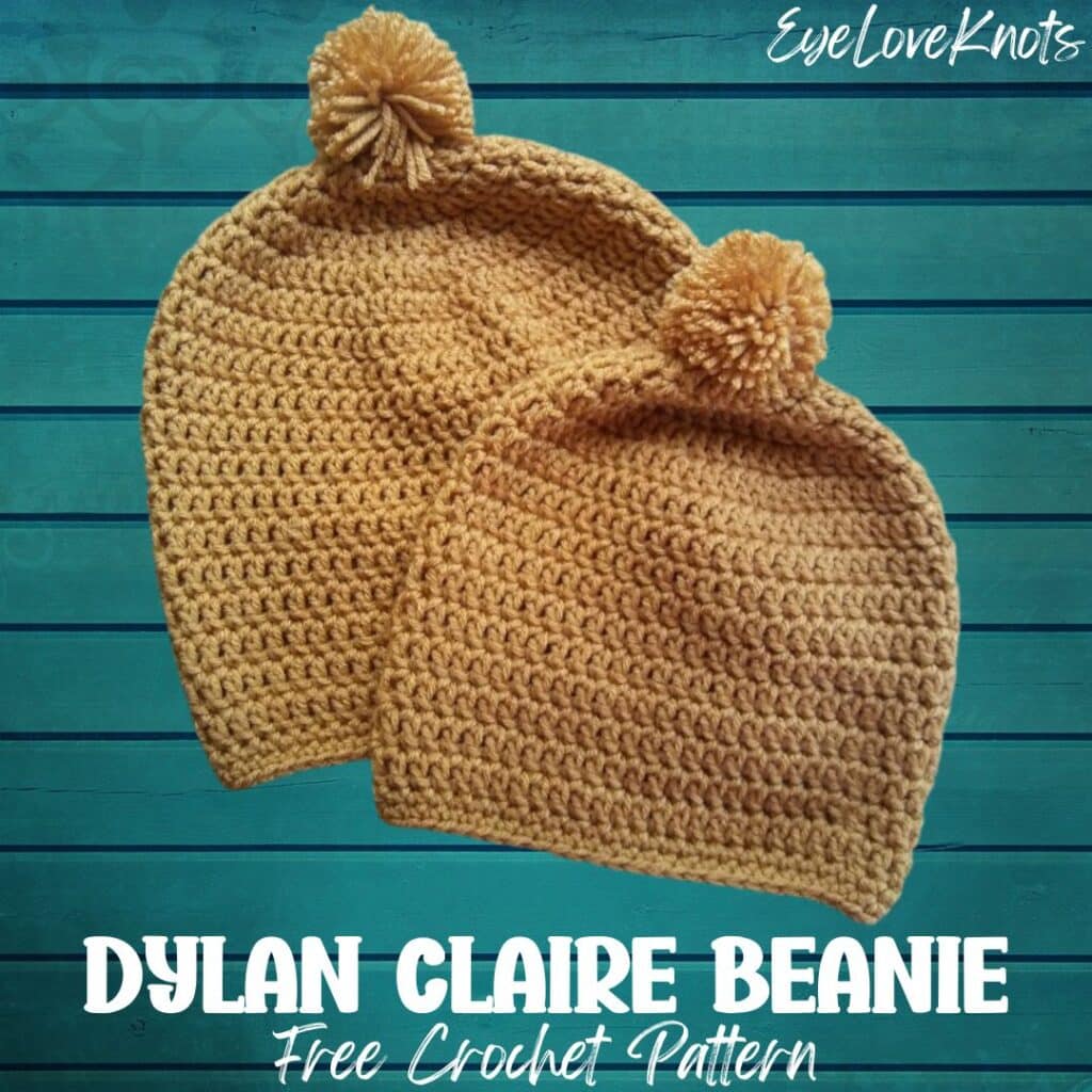 dylan claire beanie free crochet pattern