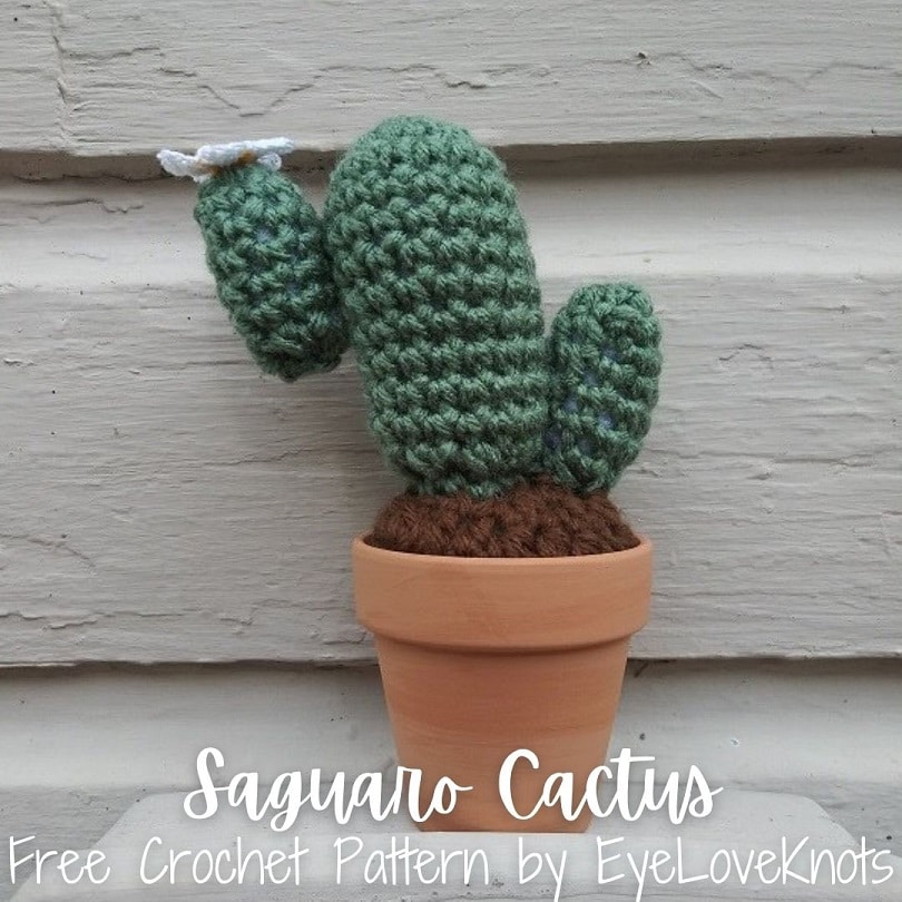 Crochet Cactus in Terra Cotta Pot