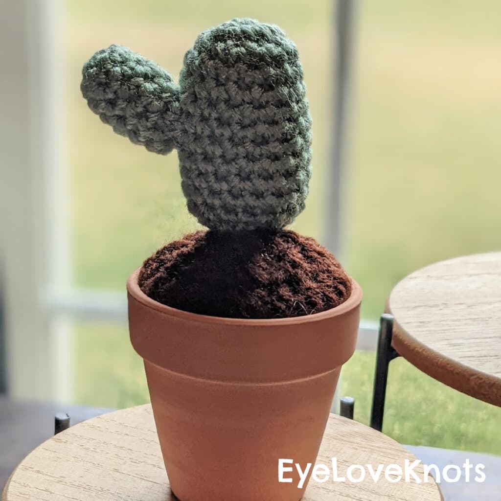 Crochet Cactus in Terra Cotta Pot