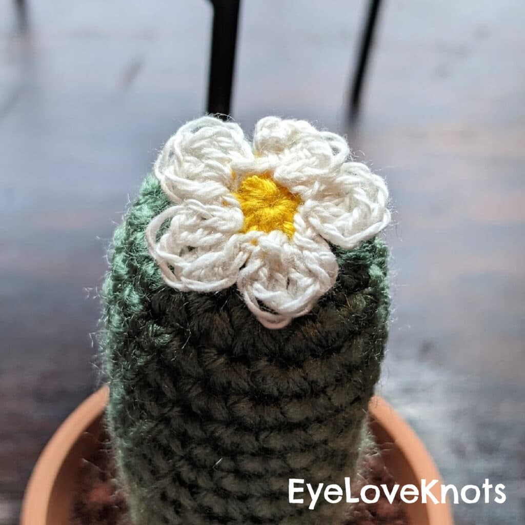 Cactus Crochet Can Cozy