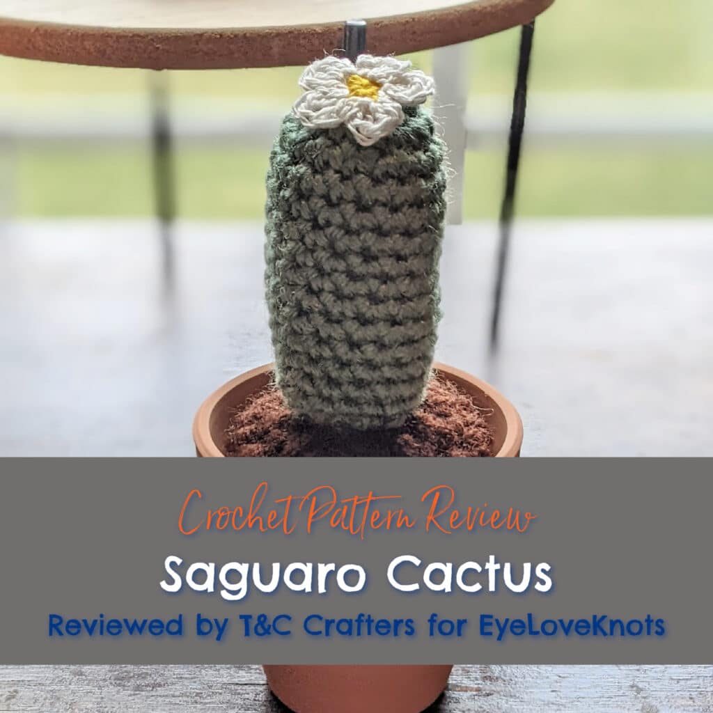 Cactus and Succulent Crochet Kit – Club Crochet