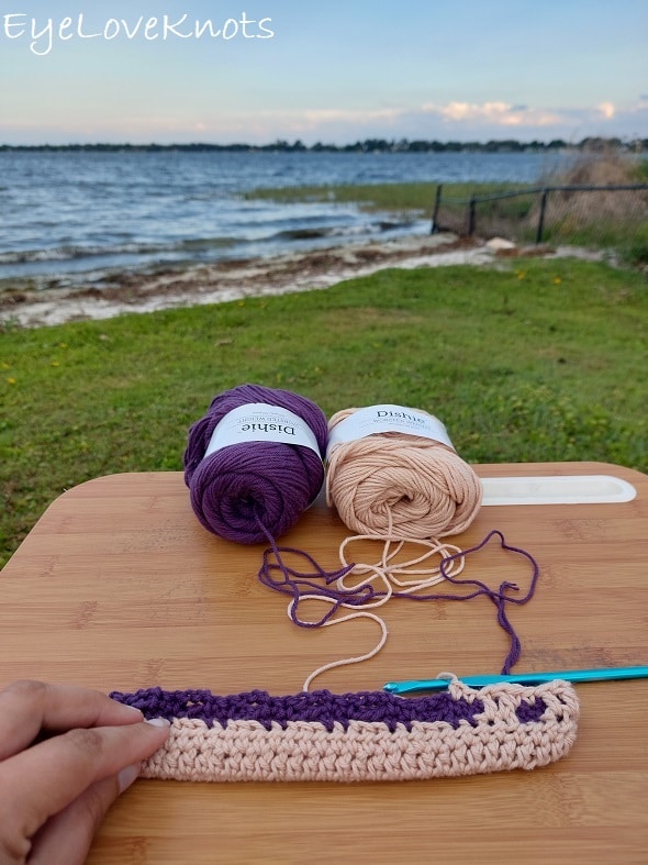 Through the Window Cosmetic Bag or Hook Pouch - Free Crochet Pattern